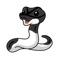 Cute panda pied ball python cartoon vector