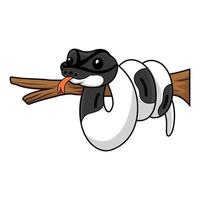 Cute panda pied ball python cartoon on tree branch vector