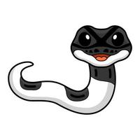 Cute panda pied ball python cartoon vector