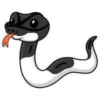 Cute panda pied ball python cartoon vector