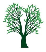 Green spring Tree wth Roots. Vector Illustration.