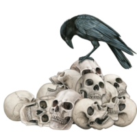 Watercolor hand drawn skull and crow png