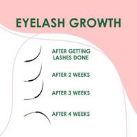 Eyelash extension. Eyelash growth. Improper eyelash extensions. Consequences of eyelash extensions. vector