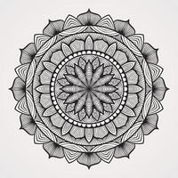 mandalas with continuous mode lines vector