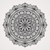 mandalas with continuous mode lines vector