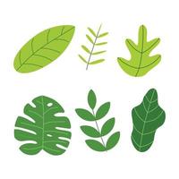 Green leaf icon illustration for nature theme vector