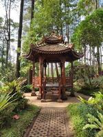 China pavilion in the botanical garden photo