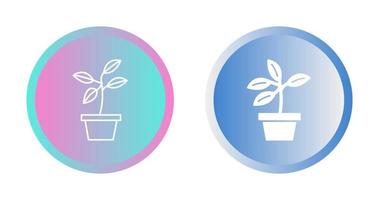 Plant Vector Icon