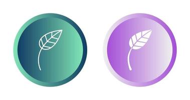 Leaf Vector Icon