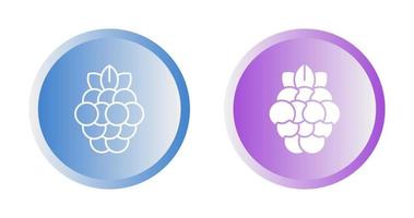 Raspberry Vector Icon