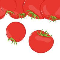 Seamless border of red tomatoes vector