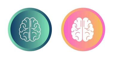 Brain Vector Icon