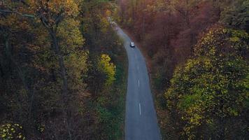 Aerial view on car driving through autumn forest road. Scenic autumn landscape video