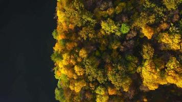 Aerial view of the lake and the bright autumn forest on its shore. Forest is reflected on the surface of the lake video