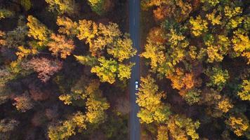 Aerial view on car driving through autumn forest road. Scenic autumn landscape video