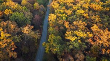 Aerial view on car driving through autumn forest road. Scenic autumn landscape video