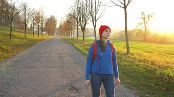 vrouw reiziger met een rugzak wandelingen Aan de weg in de platteland en bewondert de omgeving landschap video