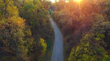 aereo Visualizza su auto guida attraverso autunno foresta strada. panoramico autunno paesaggio video