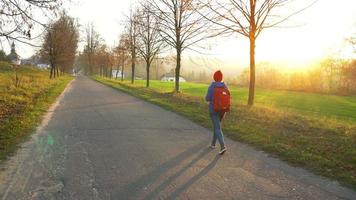 Frau Reisender mit ein Rucksack Spaziergänge auf das Straße im das Landschaft und bewundert das Umgebung Landschaft video