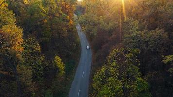 aéreo Visão em carro dirigindo através outono floresta estrada. cênico outono panorama video