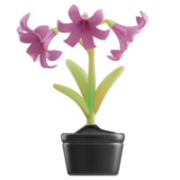 lily flower Spring 3D Illustration png