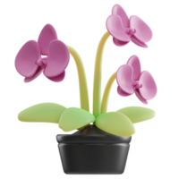 Orchid Spring 3D Illustration png