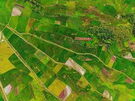 aerial view beautiful morning view from Indonesia about mountain and forest photo