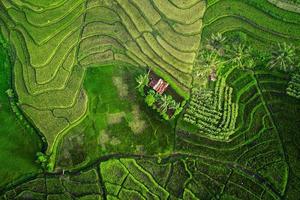 aerial view beautiful morning view from Indonesia about mountain and forest photo