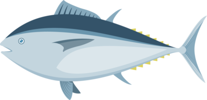 bluefin tonfisk element png