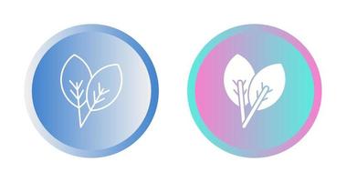Leaf Vector Icon