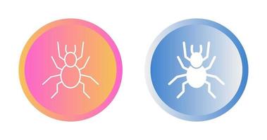 Spider Vector Icon