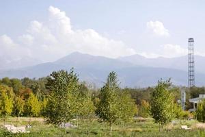 landscape of park against the backdrop of mountains on a bright sunny day photo