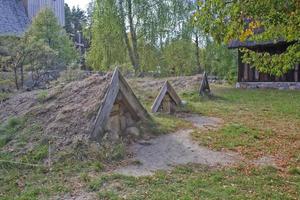 paisaje con antiguo histórico bodegas cubierto con tierra para almacenamiento vegetales en un tradicional camino en Polonia foto