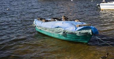 vacío remo barco en el agua en un verano día foto