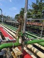 agua viniendo fuera desde tubo respiradero cuando enjuagar el Servicio agua. el foto es adecuado a utilizar para industria antecedentes fotografía, poder planta póster y electricidad contenido medios de comunicación.