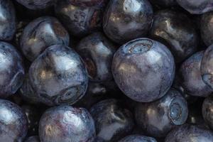 close up of heap of bilberries photo