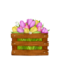 tulipán flor elemento png, Pascua de Resurrección acuarela clipart gratis png