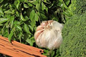 Broccoli, Garlic and Cinnamon is ready for cooking. Fresh and organic vegetables photo