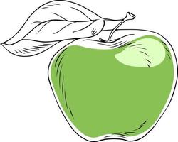 Lineart style vector green apple with leaf black outline on white background isolated