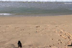 Sand ripples on the beach photo
