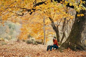 woman model in sweater and jeans and boots sits on the ground near a tree in the park fallen leaves forest photo