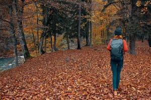 mujer turista con un mochila caminando en el parque con caído hojas en otoño en naturaleza foto