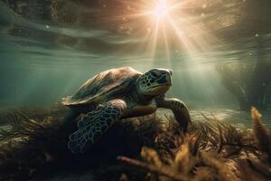 Beautiful Underwater Postcard. Maldivian Sea Turtle Floating Up And Over Coral reef. Loggerhead in wild nature habitat. . photo