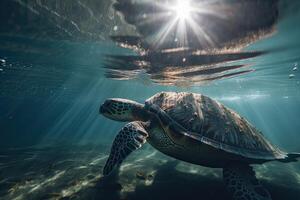 Beautiful Underwater Postcard. Maldivian Sea Turtle Floating Up And Over Coral reef. Loggerhead in wild nature habitat. . photo