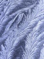 close up of abstract frost pattern photo