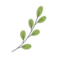 Abstract Twig with Leaves. Element for print, postcard and poster. Vector Hand Draw illustration