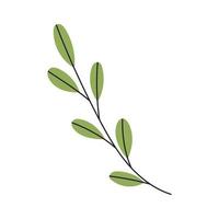 Abstract Twig with Leaves. Element for print, postcard and poster. Vector Hand Draw illustration