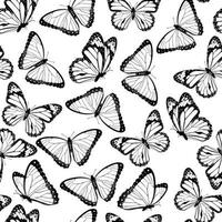 Black and white flying butterflies seamless pattern. Isolated on white background. Vector illustration.