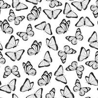 Black and white flying butterflies seamless pattern. Isolated on white background. Vector illustration.