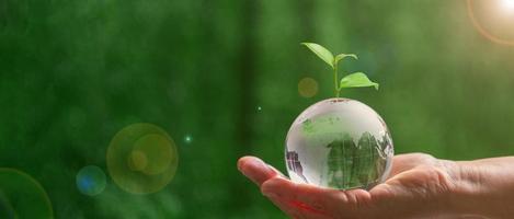 Close up of hand holding crystal globe with tree on green blur nature background, earth day or world environment day concept. Green world and sustainable conservation of forest resources. photo